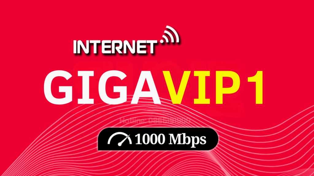Gói Giga Vip 1 – Gói XGSPON có IP tĩnh và internet quốc tế