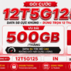 Gói 12T5G125 Viettel - 500GB/Tháng, Dùng Trọn 12 Tháng Không Lo Gia Hạn